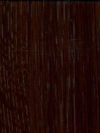 168-papyrus-hnedy-lesk